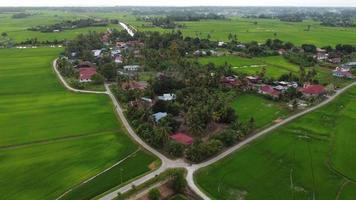 vue aérienne malais village traditionnel video