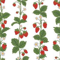 Wild strawberries bush stem, whip vector seamless pattern. Summer forest berry hand drawn texture for wallpapers, textile, wrapping paper, fabric, packaging, cards. Cute fruit flat cartoon background