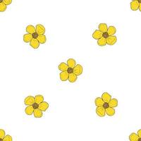 Seamless background of beautiful buttercup. Endless pattern with flower for your design. vector