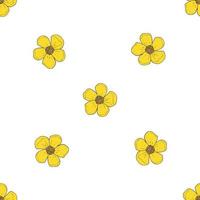 Seamless background of beautiful buttercup. Endless pattern with flower for your design. vector