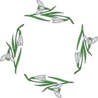 Square frame of beautiful snowdrops. Isolated flowers  on white background for your design. vector