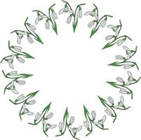 Round frame with vertical lovely snowdrops on white background. Isolated vector flowers pattern for your design.