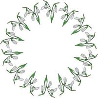 Round frame with vertical lovely snowdrops on white background. Isolated vector flowers pattern for your design.