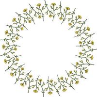 Round frame with vertical flowers buttercups on white background. Isolated frame with flowers for your design. vector