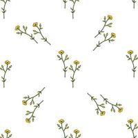 Seamless background of beautiful yellow buttercup. Endless pattern with flowers for your design. vector