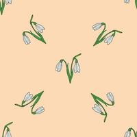 Seamless background of beautiful snowdrops on beige background. Endless pattern with flower for your design. vector