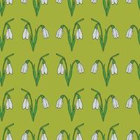 Seamless background of vector snowdrops on green background. Endless pattern with flower for your design.