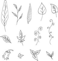 Set of black-and-white plant elements. A collection of leaves and decorative elements for your design. Vector image.