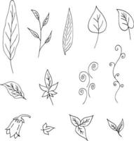 Set of black-and-white plant elements. A collection of leaves and decorative elements for your design. Vector image.