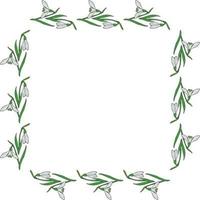 Square frame of drawing snowdrops. Isolated flowers  on white background for your design. vector
