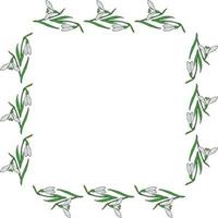 Square frame of drawing snowdrops. Isolated flowers  on white background for your design. vector