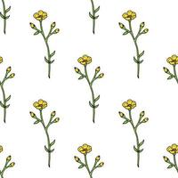 Seamless background of yellow buttercup. Endless pattern with flowers for your design. vector