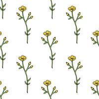 Seamless background of yellow buttercup. Endless pattern with flowers for your design. vector