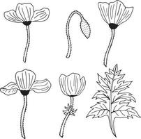 Set of black and white contour poppies, poppy Bud and leaf. Pack of monochrome outline flowers. vector