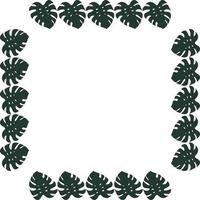 Square frame of vertical dark leaf of monstera on white background. Isolated frame for your design. vector