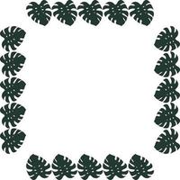 Square frame of vertical dark leaf of monstera on white background. Isolated frame for your design. vector