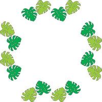 Square frame of vertical bright green monstera on white background. Isolated frame for your design. vector