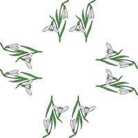Square frame of snowdrops. Isolated flowers on white background for your design. vector