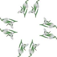 Square frame of snowdrops. Isolated flowers on white background for your design. vector