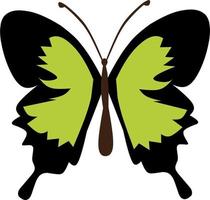 beautiful butterfly collection vector