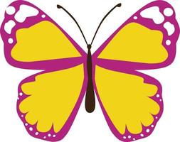 beautiful butterfly collection vector