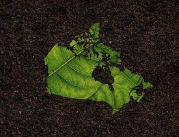 Canada map made of green leaves on soil background ecology concept photo