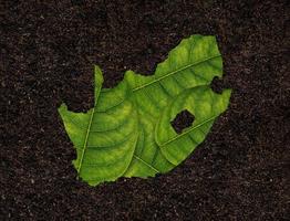 South Africa map made of green leaves on soil background ecology concept photo