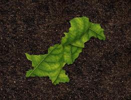 Pakistan map made of green leaves, concept ecology Map green leaf on soil background photo