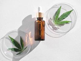 CBD oil in amber bottle and hemp leaves on petri dishes on white table. Marijuana as cosmetic ingredient concept. using hemp leaves extract in cosmetic for beautiful skin, top view.n. photo