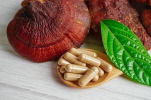 Lingzhi or Reishi mushroom with capsules, organic natural healthy food. photo