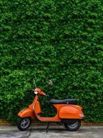 scooter retro naranja estacionado en el lado de la calle con una pared de hojas verdes. foto