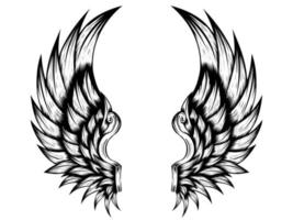 Angel wings vector design free download