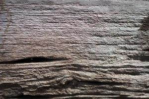 wood texture close up photo