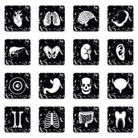 Human organs icons set vector