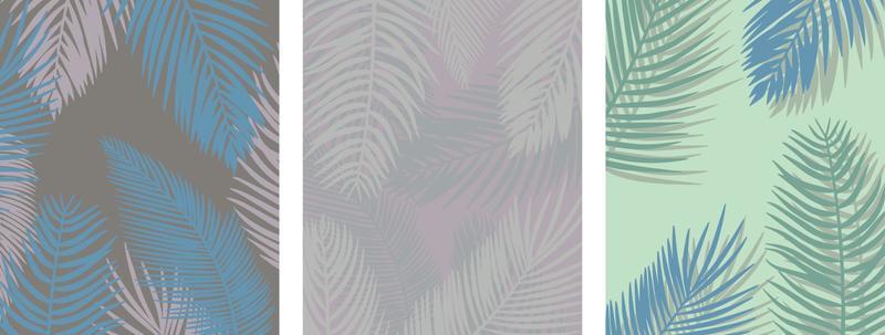 summer exotic backgrounds with palm branches