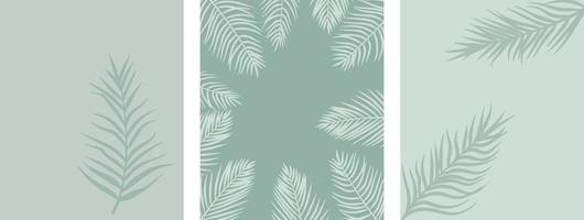 summer exotic backgrounds with palm branches vector