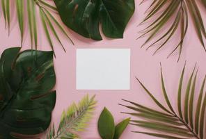 Tropical palm leaves on pink background for design. Summer Styled. High quality image. Top view photo