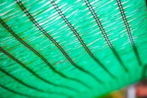 Close up Green Shading Net protect sun light