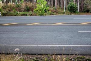 asphalt road in the forest photo