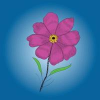 Nice primrose and carnation flower sketch vector illustration