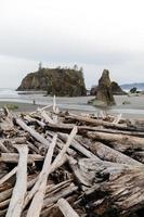 Driftwood on a beach photo