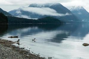 Mountains on the foggy coast photo