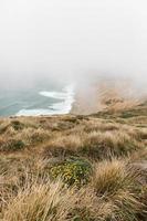 Foggy coastal view photo