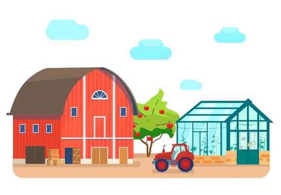 Vector illustration of a red barn with wooden boxes in flat cartoon style. Red tractor and greenhouse near barn.