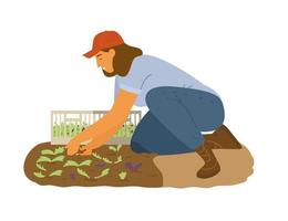 mujer agricultora trabajando recogiendo hojas de ensalada. ilustración vectorial plana. vector