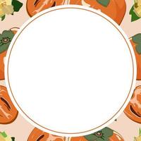 Persimmon fruits. Vector round frame.