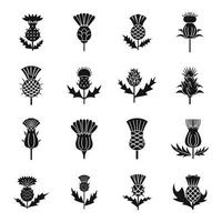 Thistle icons set simple vector. Scottish flower vector