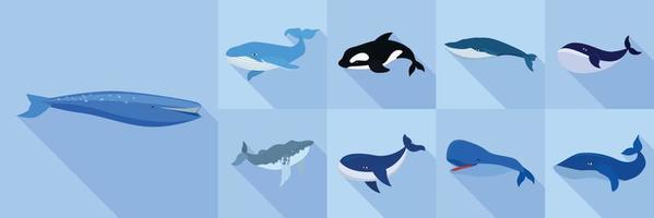 Whale icon set, flat style vector