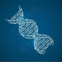 DNA analysis blueprint vector