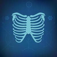 skeleton blueprint analysis vector